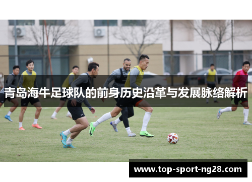 青岛海牛足球队的前身历史沿革与发展脉络解析 青岛海牛足球队的前身历史沿革与发展脉络解析