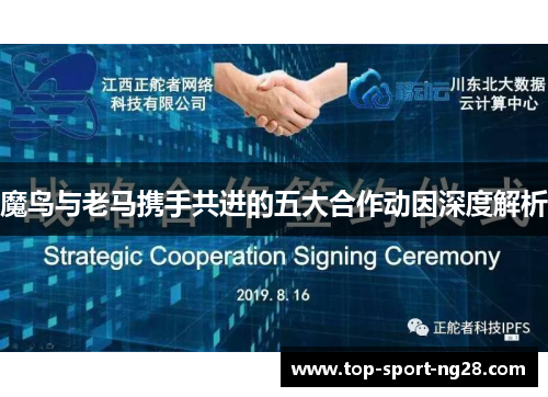 魔鸟与老马携手共进的五大合作动因深度解析