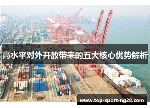 高水平对外开放带来的五大核心优势解析 高水平对外开放带来的五大核心优势解析